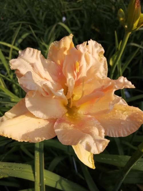 69ff10edb576d7.32367295.jpg